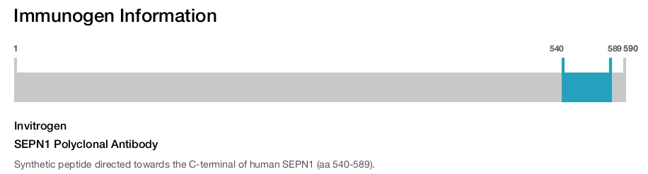 SEPN1 Polyclonal Antibody