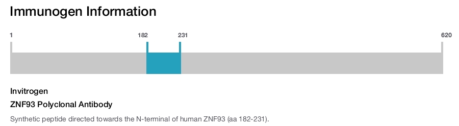 ZNF93 Polyclonal Antibody