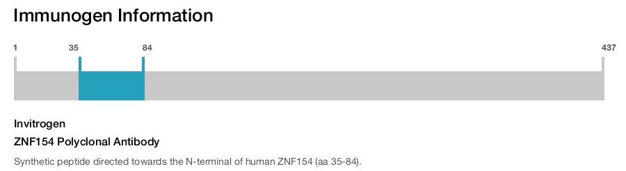 ZNF154 Polyclonal Antibody