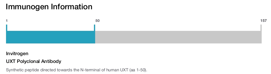 UXT Polyclonal Antibody