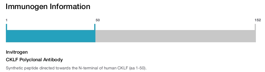CKLF Polyclonal Antibody