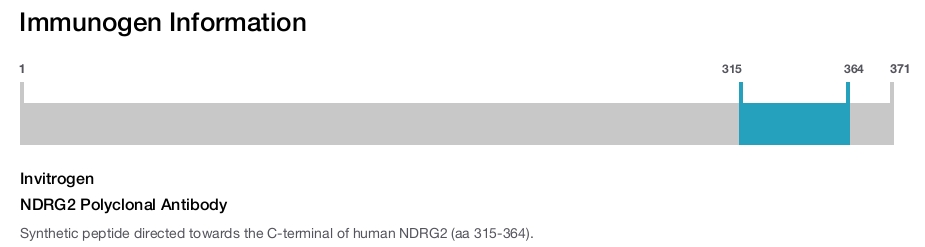 NDRG2 Polyclonal Antibody