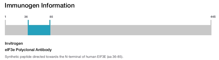 eIF3e Polyclonal Antibody