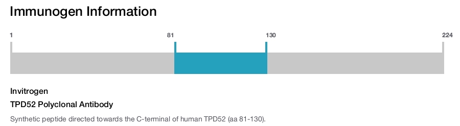 TPD52 Polyclonal Antibody