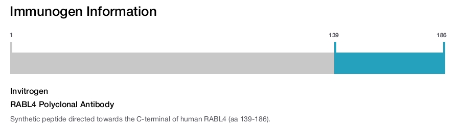 RABL4 Polyclonal Antibody