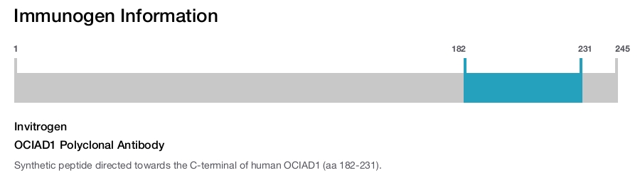 OCIAD1 Polyclonal Antibody