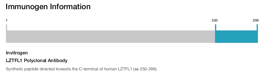 LZTFL1 Polyclonal Antibody