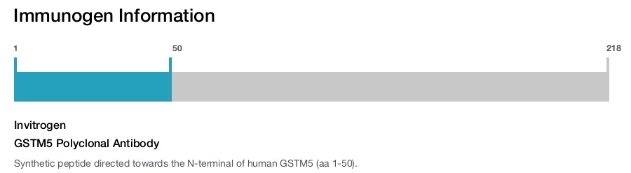 GSTM5 Polyclonal Antibody