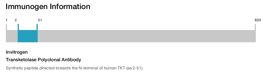 Transketolase Polyclonal Antibody