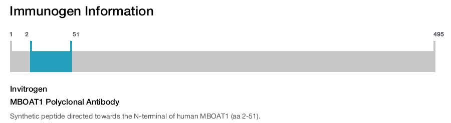 MBOAT1 Polyclonal Antibody