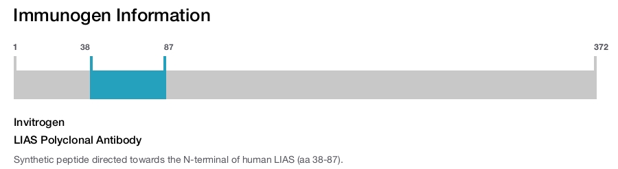 LIAS Polyclonal Antibody