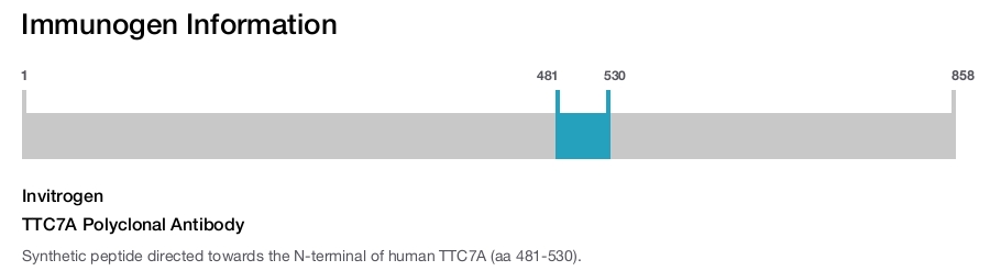 TTC7A Polyclonal Antibody
