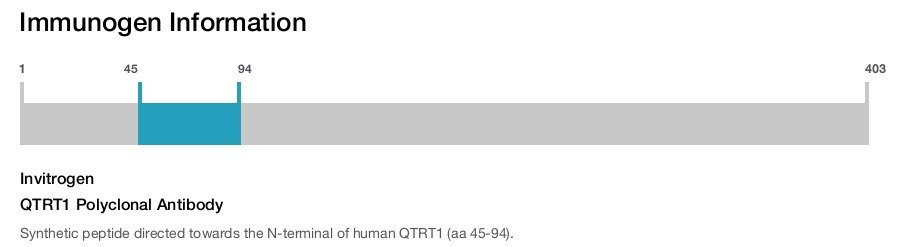 QTRT1 Polyclonal Antibody