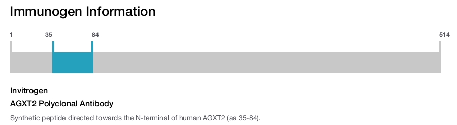 AGXT2 Polyclonal Antibody
