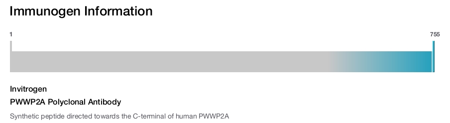 PWWP2A Polyclonal Antibody