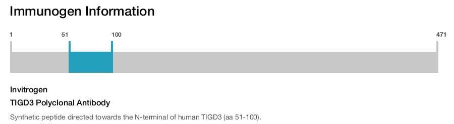 TIGD3 Polyclonal Antibody