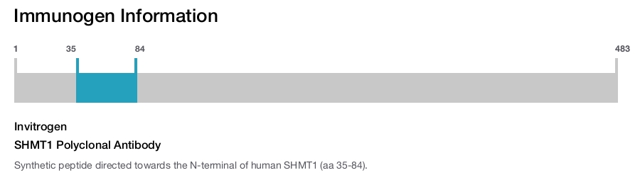 SHMT1 Polyclonal Antibody
