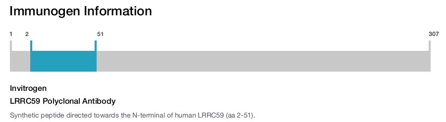 LRRC59 Polyclonal Antibody