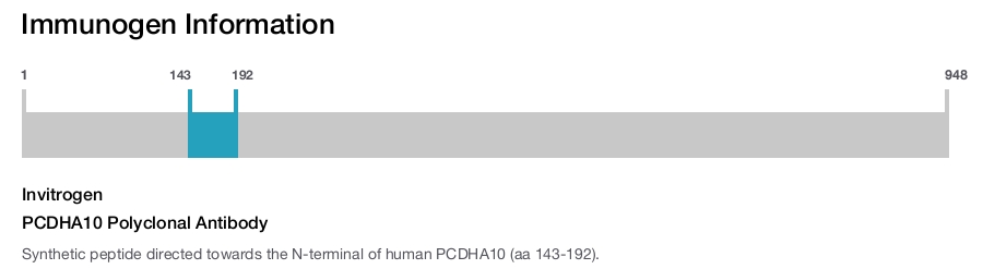 PCDHA10 Polyclonal Antibody