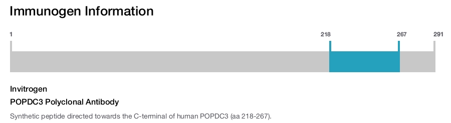 POPDC3 Polyclonal Antibody