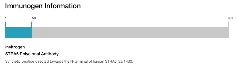 STRA6 Polyclonal Antibody