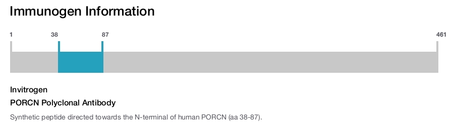 PORCN Polyclonal Antibody