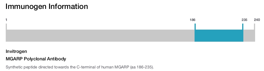 MGARP Polyclonal Antibody
