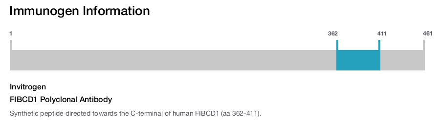 FIBCD1 Polyclonal Antibody