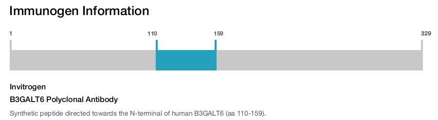 B3GALT6 Polyclonal Antibody