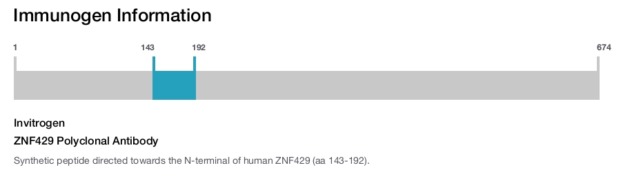 ZNF429 Polyclonal Antibody
