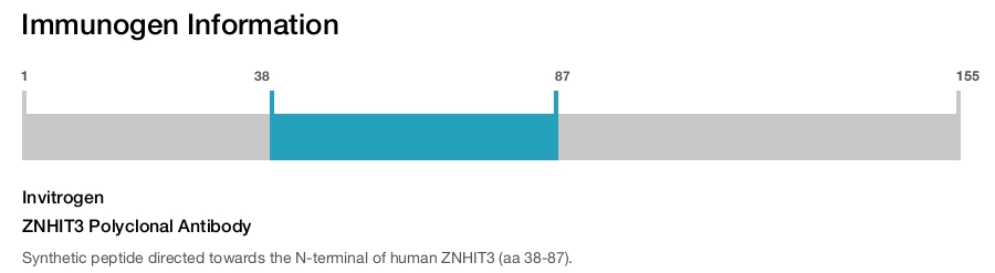 ZNHIT3 Polyclonal Antibody