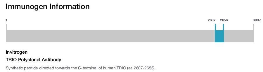 TRIO Polyclonal Antibody