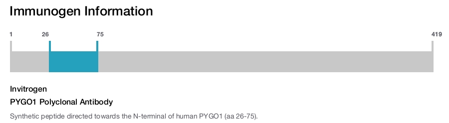PYGO1 Polyclonal Antibody