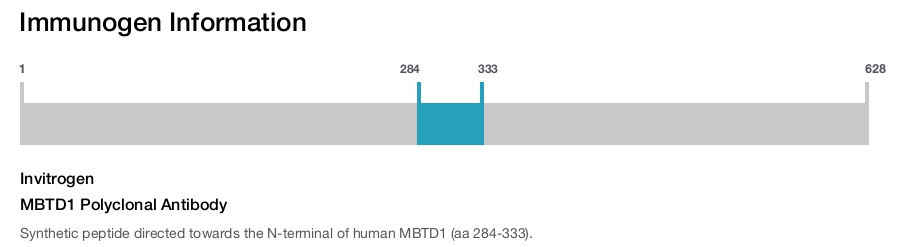 MBTD1 Polyclonal Antibody