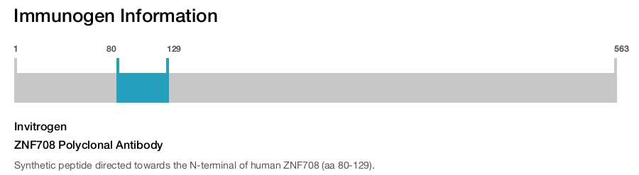 ZNF708 Polyclonal Antibody