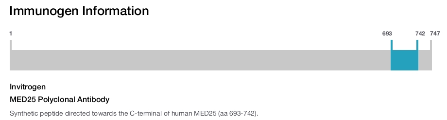 MED25 Polyclonal Antibody