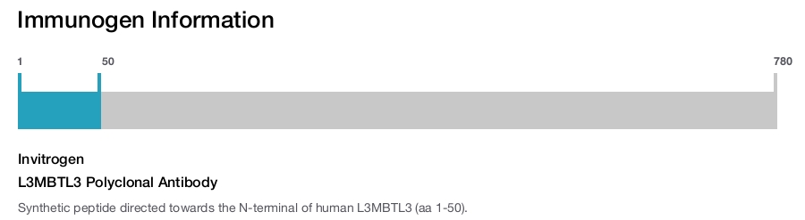 L3MBTL3 Polyclonal Antibody