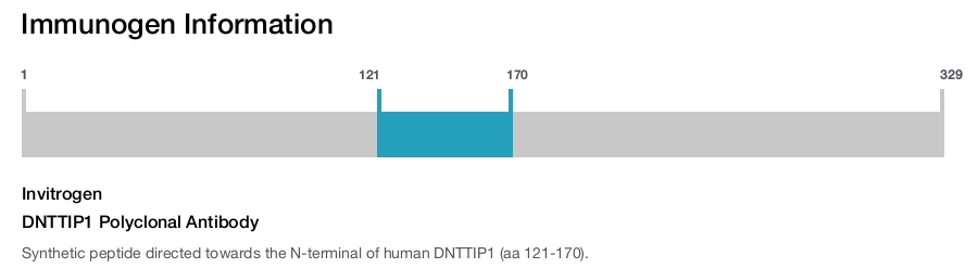 DNTTIP1 Polyclonal Antibody