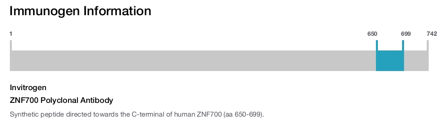 ZNF700 Polyclonal Antibody