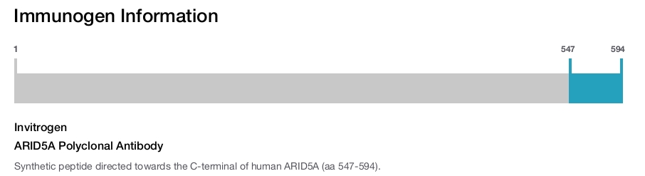 ARID5A Polyclonal Antibody