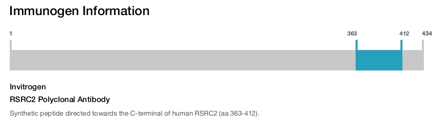 RSRC2 Polyclonal Antibody