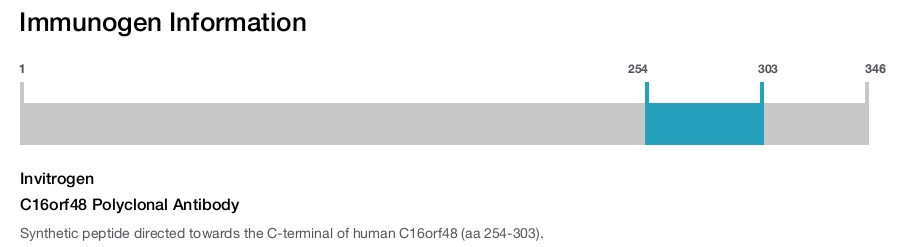 C16orf48 Polyclonal Antibody