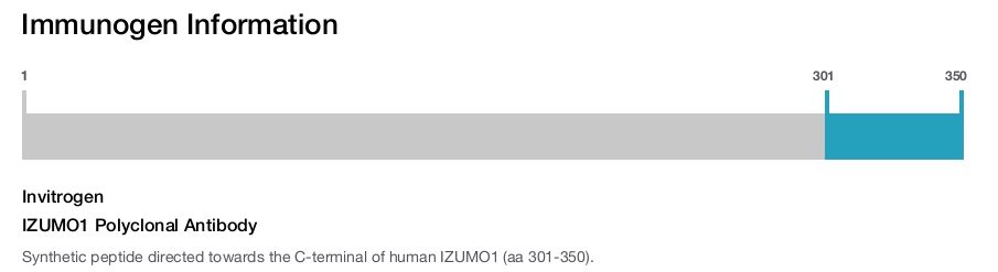 IZUMO1 Polyclonal Antibody