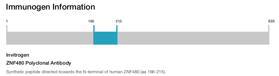 ZNF480 Polyclonal Antibody