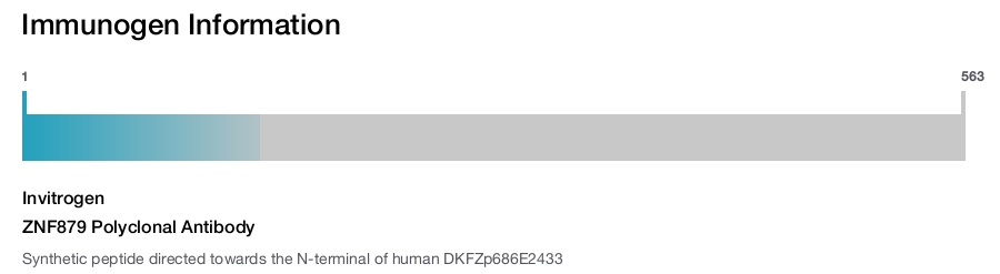 ZNF879 Polyclonal Antibody
