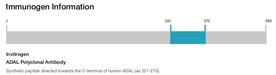 ADAL Polyclonal Antibody