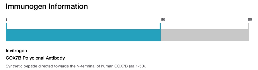 COX7B Polyclonal Antibody
