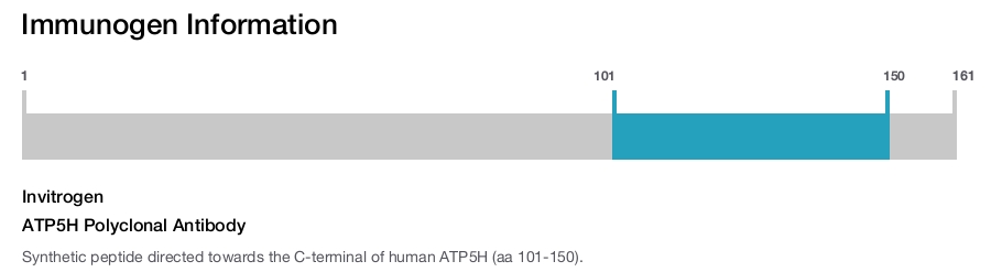 ATP5H Polyclonal Antibody