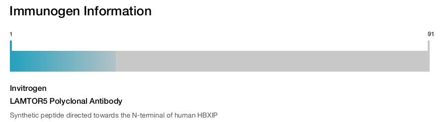 LAMTOR5 Polyclonal Antibody