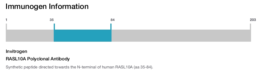 RASL10A Polyclonal Antibody